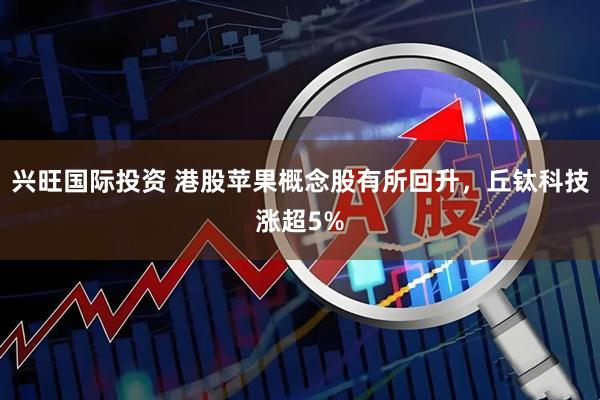 兴旺国际投资 港股苹果概念股有所回升，丘钛科技涨超5%