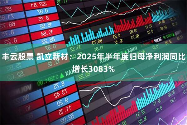 丰云股票 凯立新材：2025年半年度归母净利润同比增长3083%