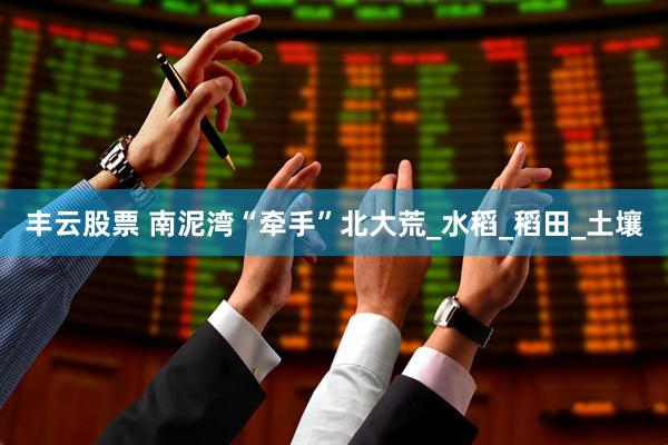 丰云股票 南泥湾“牵手”北大荒_水稻_稻田_土壤