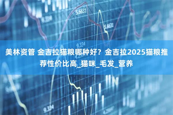 美林资管 金吉拉猫粮哪种好?金吉拉2025猫粮推荐性价比高_猫咪_毛发_营养