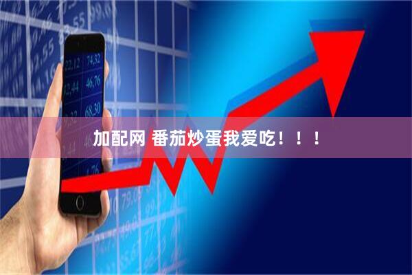 加配网 番茄炒蛋我爱吃！！！