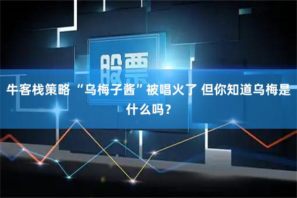 牛客栈策略 “乌梅子酱”被唱火了 但你知道乌梅是什么吗？